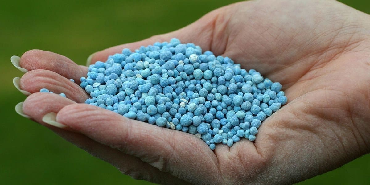 Granular Fertilizer In Hand