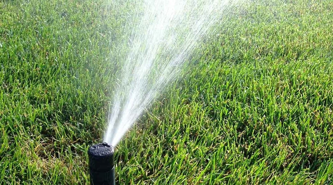 Overwatering Turfgrass Can Be A Problem