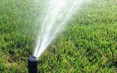 Overwatering Turfgrass Can Be A Problem