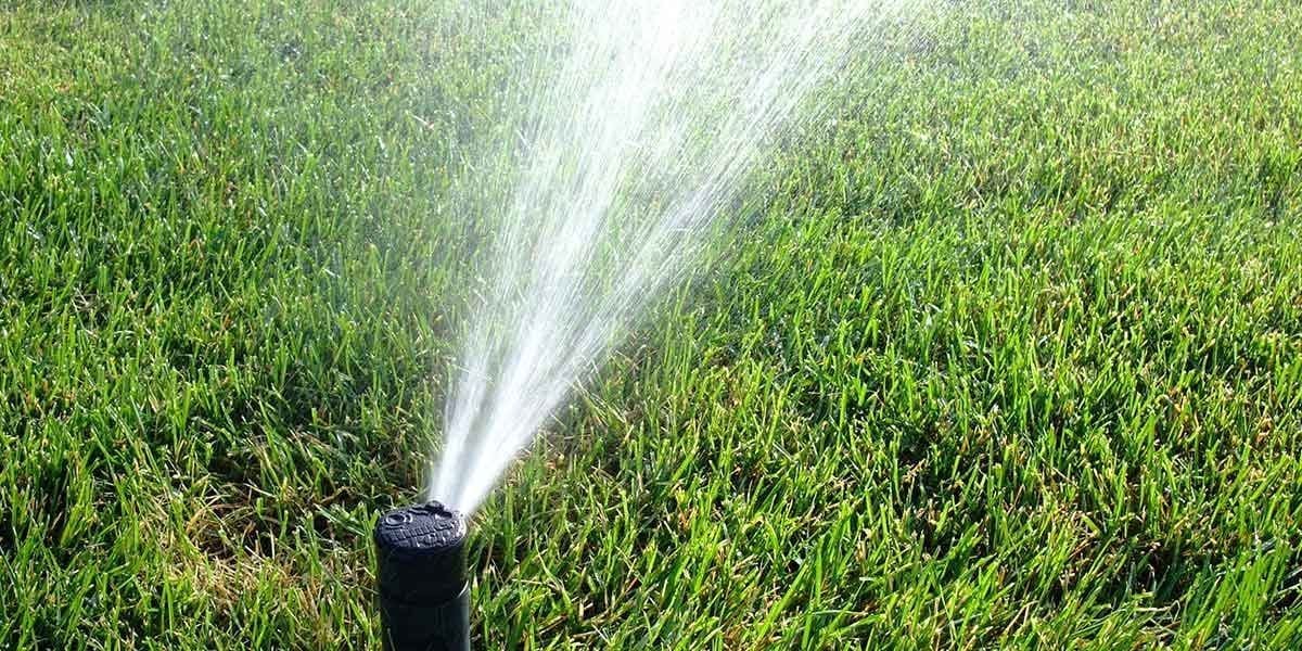 Irrigation Head Spraying Water on Turf