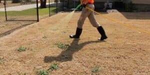 Lawn Weed Control Treatments