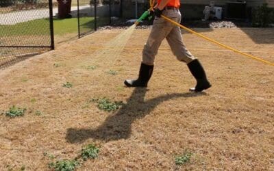 Post-Emergent Weed Control