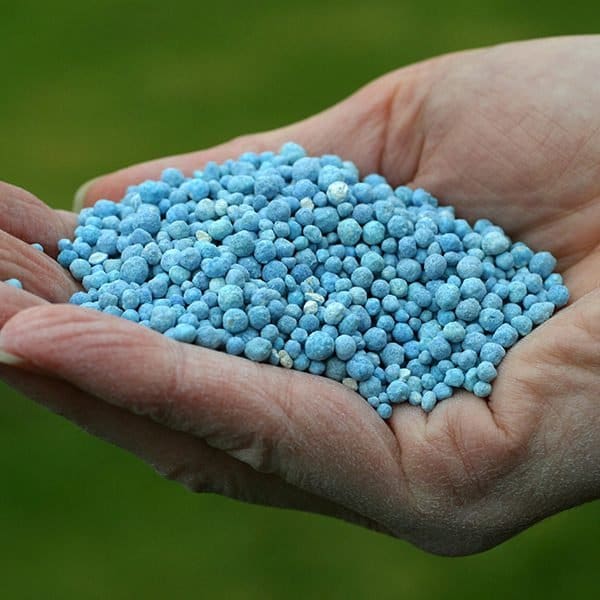 Granular Fertilizer In Hand