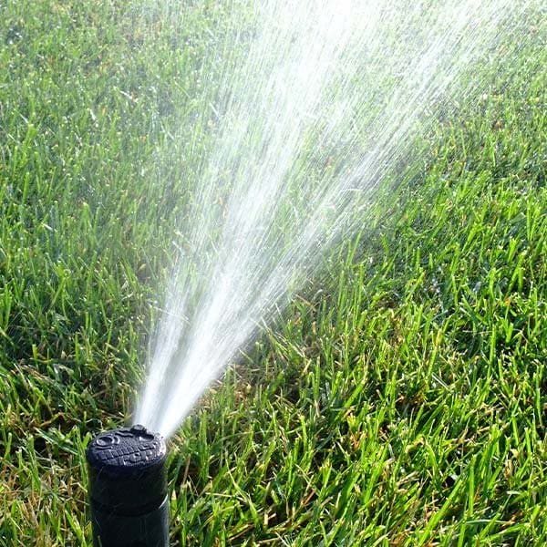 Irrigation Head Spraying Water on Turf