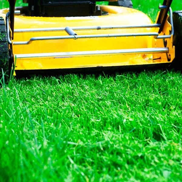 Mower Clippings