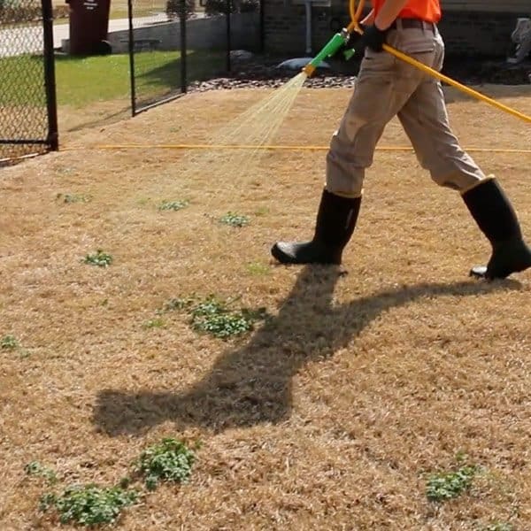 Professional Turf Treatment Applications