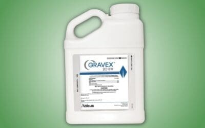 Atticus Gravex 20EW Fungicide – Systemic Fungus Control for Lawns