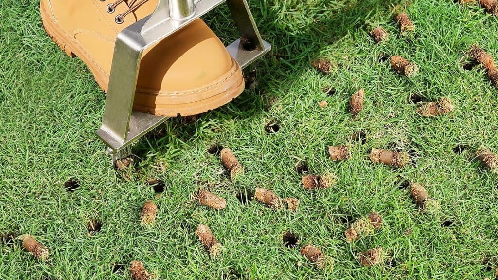 Manual Core Aerator Lawn Tool