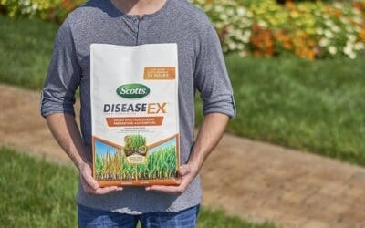 Scotts DiseaseEx Lawn Fungicide Review