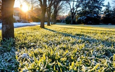 The Impact of Winter Sun on South-Facing Lawn Areas